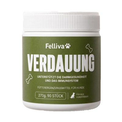 Verdauung